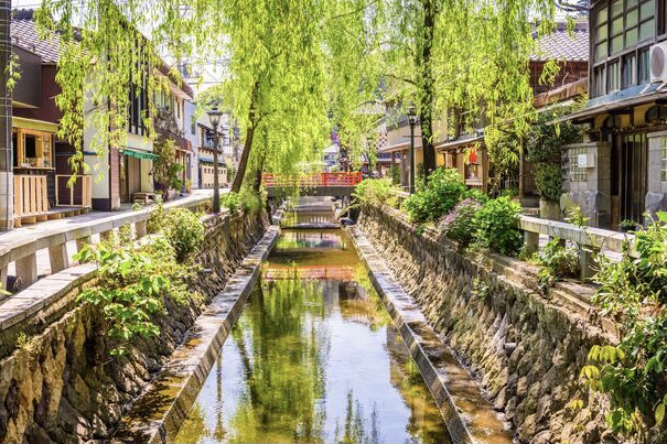 Japanese Street with River and Willow Trees